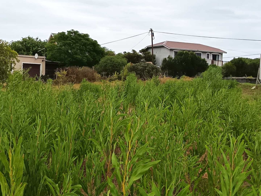 0 Bedroom Property for Sale in Fisherhaven Western Cape
